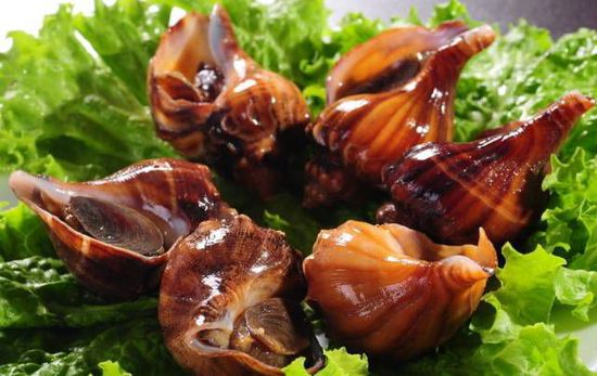 秋季最適合吃的海鮮是這10種 你吃對了嗎？