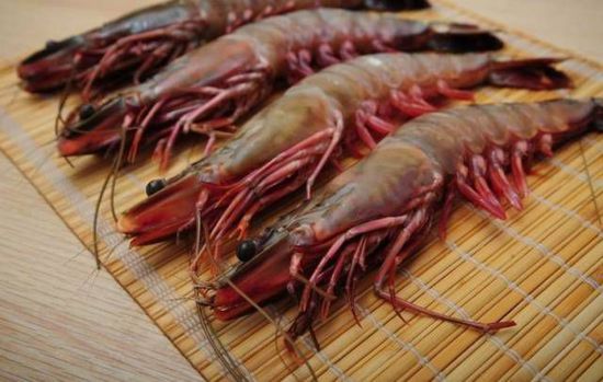 秋季最適合吃的海鮮是這10種 你吃對了嗎？