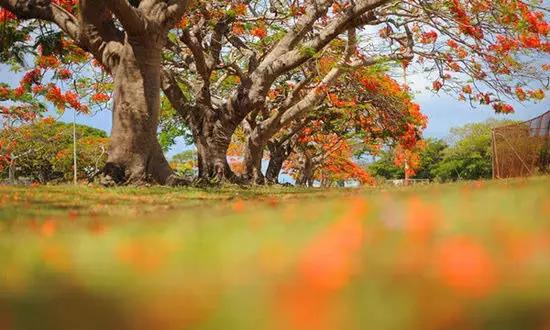 適合在冬天旅游的十個絕美海島！