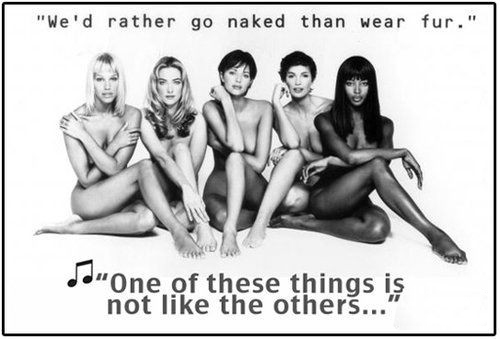時尚圈第一組群模抗議皮草大片