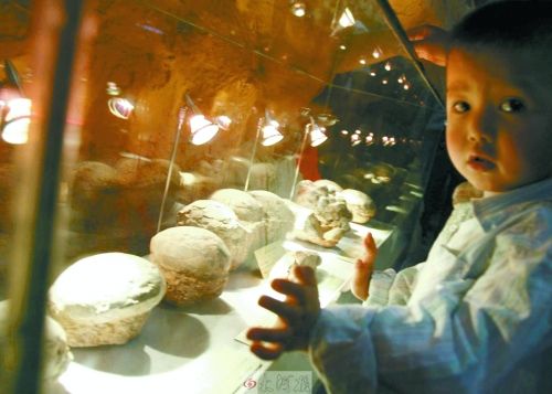 恐龍蛋，這回見識了吧！