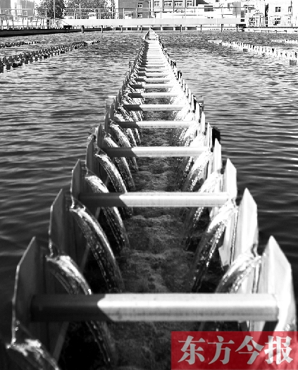 年底鄭州自來(lái)水將完成深度改造 未來(lái)不再有“土腥味” 年底鄭州自來(lái)水將完成深度改造 未來(lái)不再有“土腥味”