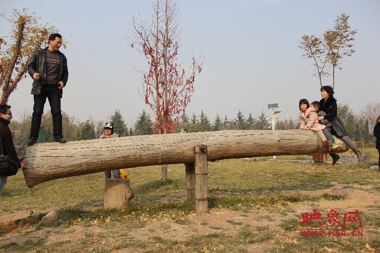 巨大的蹺蹺板，一棵樹(shù)。。。看玩的多嗨