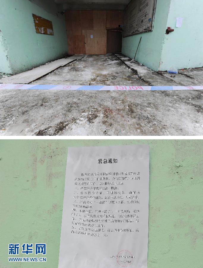 上海6日起暫停活禽交易 關(guān)閉所有活禽交易市場