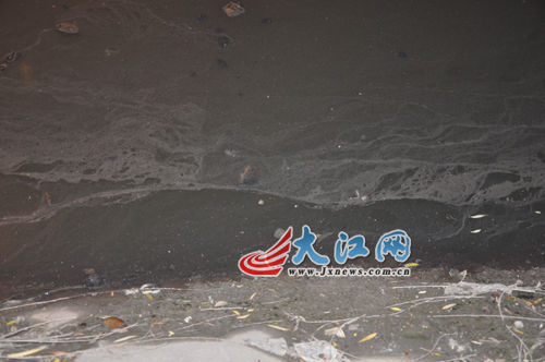 19日晚上的玉帶河，紅色河水變回灰綠色。