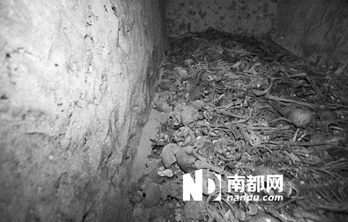 　5月29日，在以色列特拉維夫市雅法地區(qū)，一處集體墳?zāi)贡话l(fā)現(xiàn)。