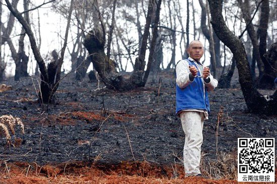 山林被燒得滿(mǎn)目瘡痍。