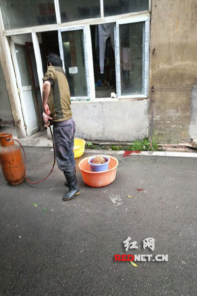 5月8日，男子在校園里殺狗，地上殘留一塊血跡。目擊者供圖。