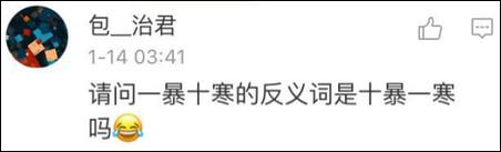 鶴立雞群？雞立鶴群！