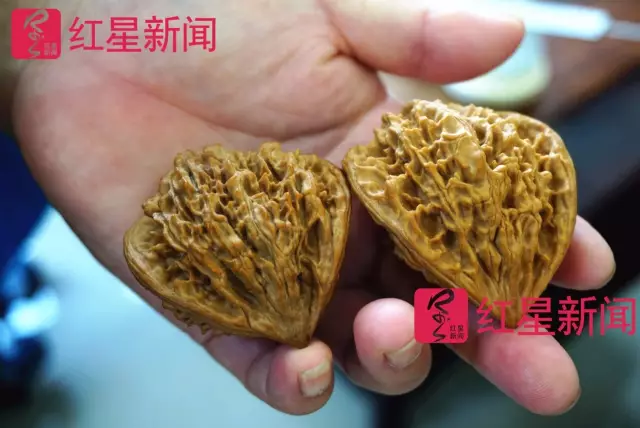 文玩核桃遇冷由幾萬一對降到5元沒人要？商戶否認