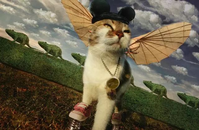 一只虛擬寵物貓叫價(jià)13億元？云養(yǎng)貓成真