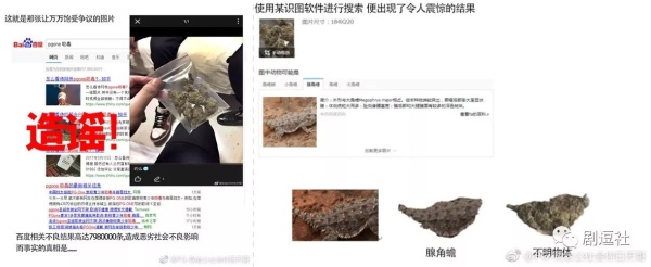 PGone又教給我們一個(gè)新詞：虐粉。