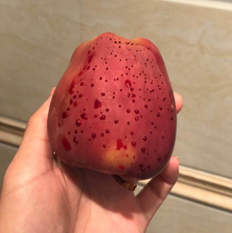 嚇懵！女子用熱水泡蘋果結(jié)果冒出血珠 咋回事？
