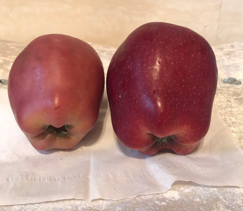 嚇懵！女子用熱水泡蘋果結(jié)果冒出血珠 咋回事？