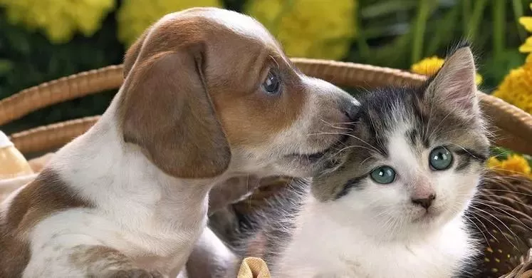 可憐！12歲女孩右眼完全失明 只因平時有這愛好