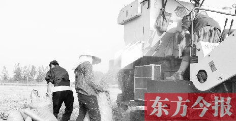 李正厚的妻子鮑本華（右）和一位村民拎著麻袋來到收割機前，接住傾倒出來的麥粒