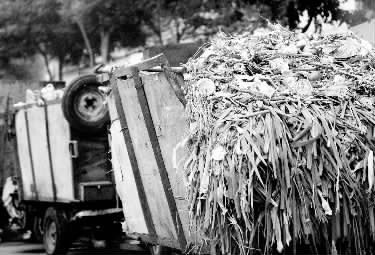 垃圾車、渣土車再在市區(qū)“裸奔”就是違法了