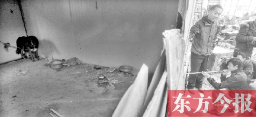 12月4日，鄭州市未來路與隴海路交叉口西側(cè)，執(zhí)法人員用吹管麻醉針對(duì)付一只藏獒