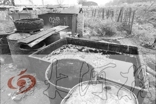 　　骯臟、令人作嘔的油桶凌亂地擺放在院子里，為了避免視覺刺激，我們把它做成了黑白圖片。