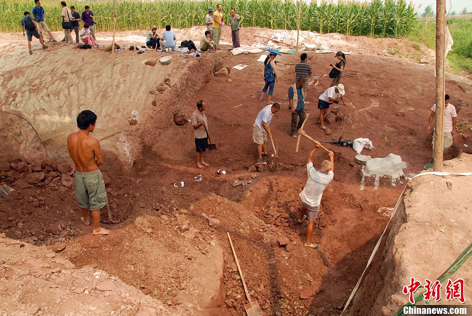 恐龍化石發(fā)掘現(xiàn)場。