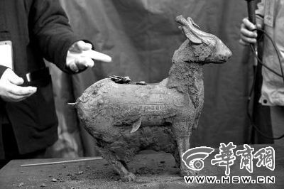 一件似羊似鹿的犧尊華麗亮相，可愛(ài)的造型“萌翻”現(xiàn)場(chǎng)。