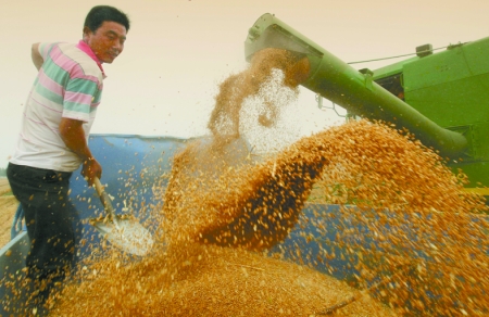 心情喜悅麥龍舞。
