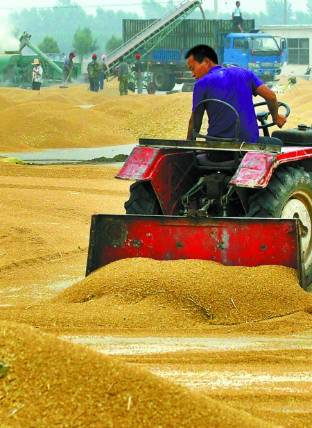 精心晾曬，散倉入庫。