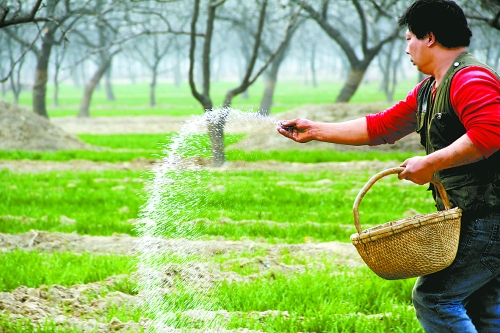 3月18日，內(nèi)黃縣城關(guān)鎮(zhèn)農(nóng)民在給小麥?zhǔn)┓?。眼下正是冬小麥返青的關(guān)鍵時(shí)期，內(nèi)黃縣廣大農(nóng)民積極開(kāi)展以澆水