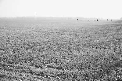 項城市丁集鎮(zhèn)平墳復耕后的農(nóng)田