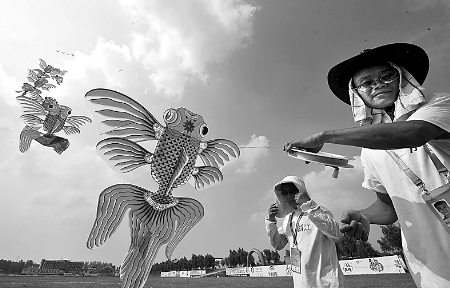 7月30日，第七屆全國(guó)農(nóng)運(yùn)會(huì)首項(xiàng)賽事——風(fēng)箏比賽在南召縣開(kāi)賽