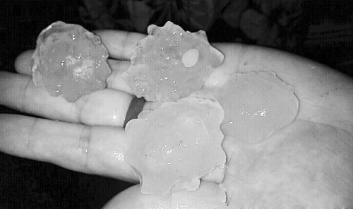 昨天凌晨，三門峽下起了冰雹，最大直徑近1厘米 微博截圖