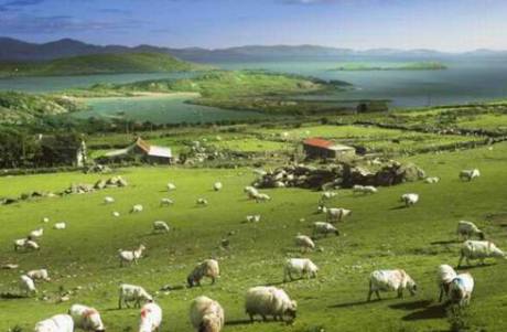 盤點(diǎn)幸福感最高的國(guó)家地區(qū)