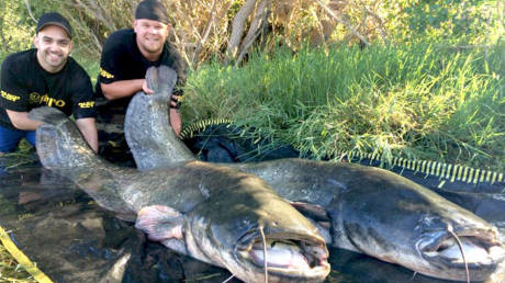 德國(guó)男子20分鐘捕獲2條巨大鲇魚(yú)