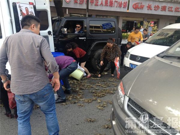 兩車刮擦致螃蟹鱷魚(yú)滿地爬 被路人搶光