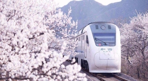 開往春天的列車 開往春天的列車