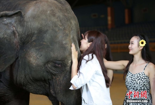 學(xué)生參加?；ㄐ２荽筚?穿比基尼秀身材