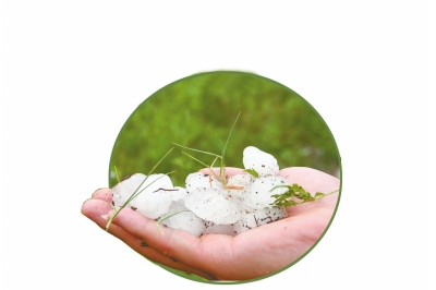 冰雹化了一些,還有這么大。