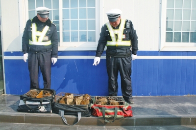 民警查獲的乘客行李包中，裝的全是獼猴。