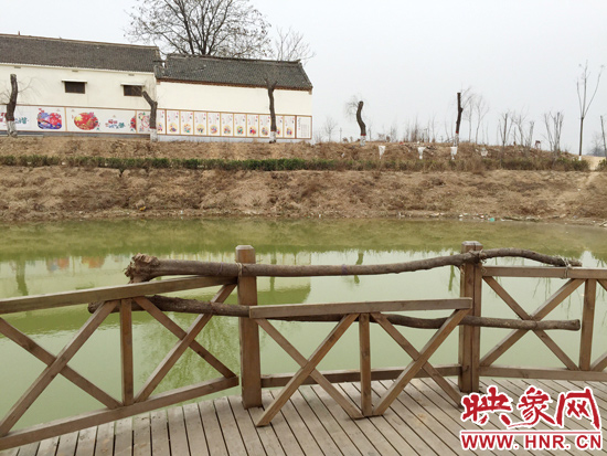 護欄損毀的地方，已經(jīng)被兩根樹干擋住。