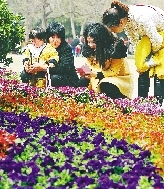 近距離才能拍得更真切。