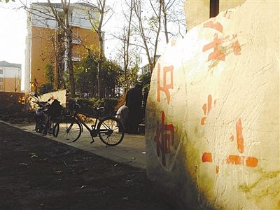 昨日，“上海奇石盆景博物館”原址上，已矗立起小區(qū)樓盤，而刻著博物館名的巨石，廢棄在一旁。本版圖片/新京報記者 張永生 攝