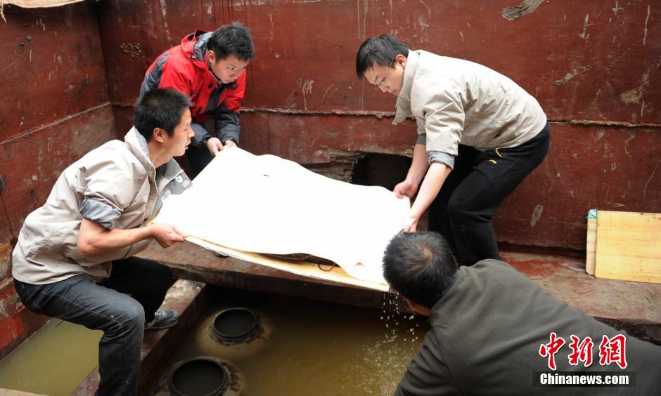 圖為考古現(xiàn)場工作人員小心翼翼將文物取出。