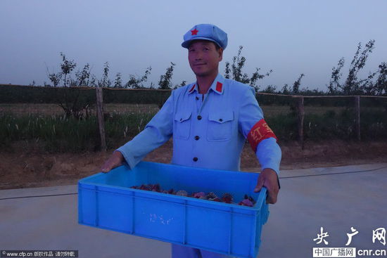 河南一農(nóng)場(chǎng)近百名員工著紅軍裝上班