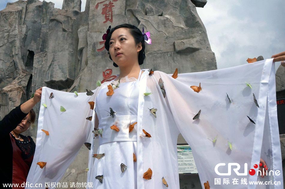 “蝴蝶仙子”身穿上百只剛剛扎死的蝴蝶。圖片來源：老祝/東方IC