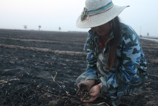村民們眼巴巴看著豐收的小麥“葬身”火海，心疼不已。