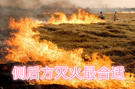 不要在風(fēng)頭上打火：風(fēng)正大，火正旺，最容易傷人；