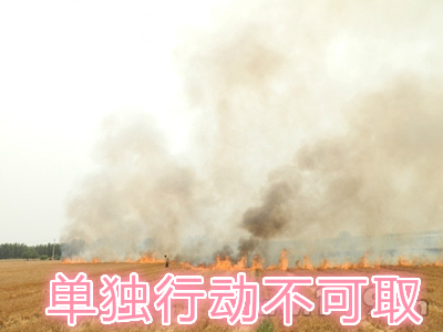 不要單獨一個人亂沖亂打：單獨行動被煙氣沖昏倒地，無人發(fā)覺被燒；