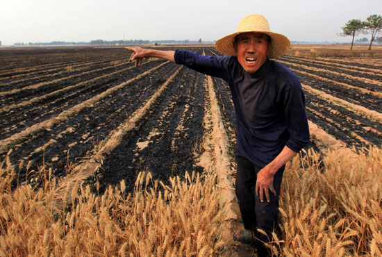 河南省滑縣、內(nèi)黃縣麥田著火，麥壟套種的花生、玉米苗也被烤焦，群眾損失慘重