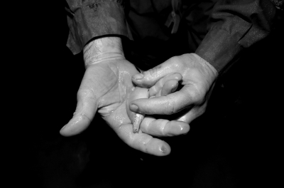 圖為科考人員發(fā)現(xiàn)的洞穴動物（3月2日攝）。