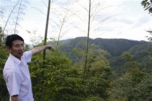 村民吳學(xué)田告訴記者，對(duì)面兩座山就是潘建友承包的部分山場(chǎng) 見習(xí)記者 邱一文 攝